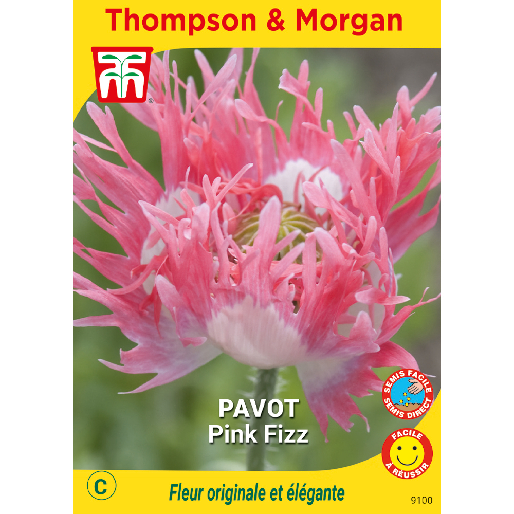 graines de fleur: pavot pink fizz 0. 1645 grammes