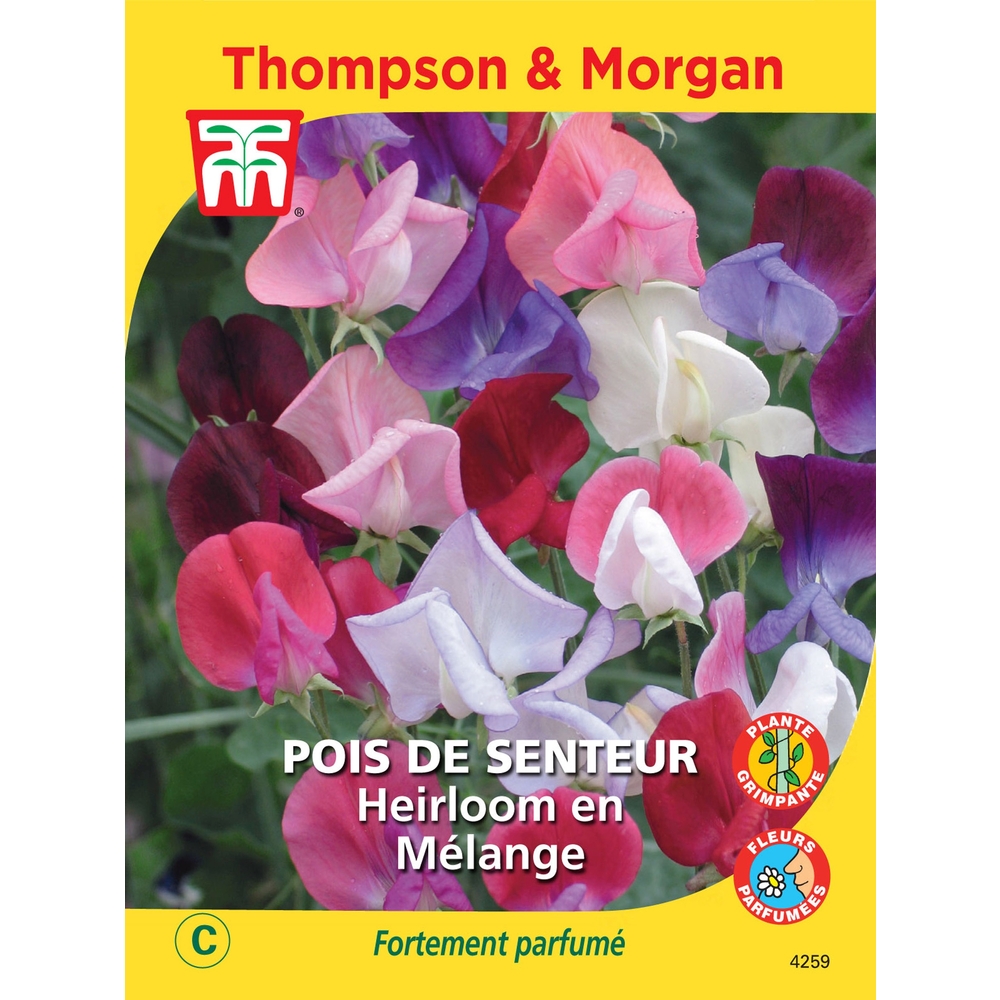 Pois de Senteur Heirloom Mixed