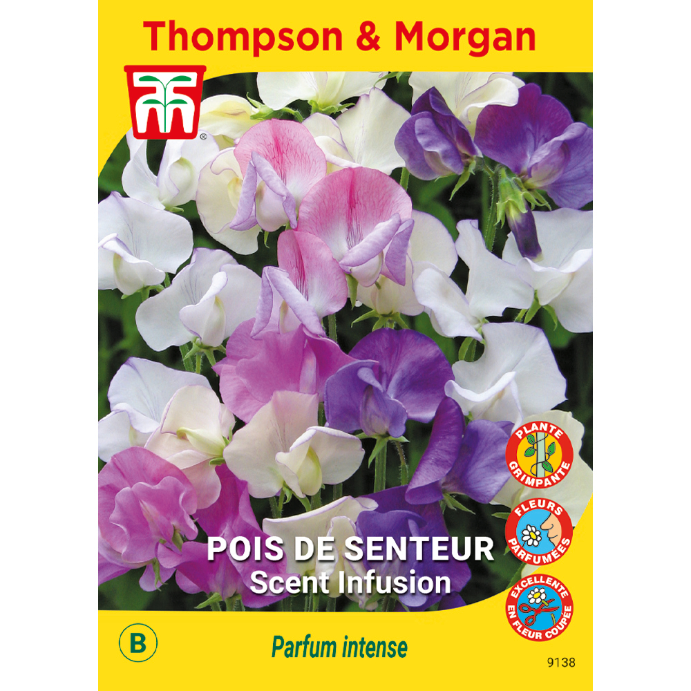Pois de Senteur Scent Infusion
