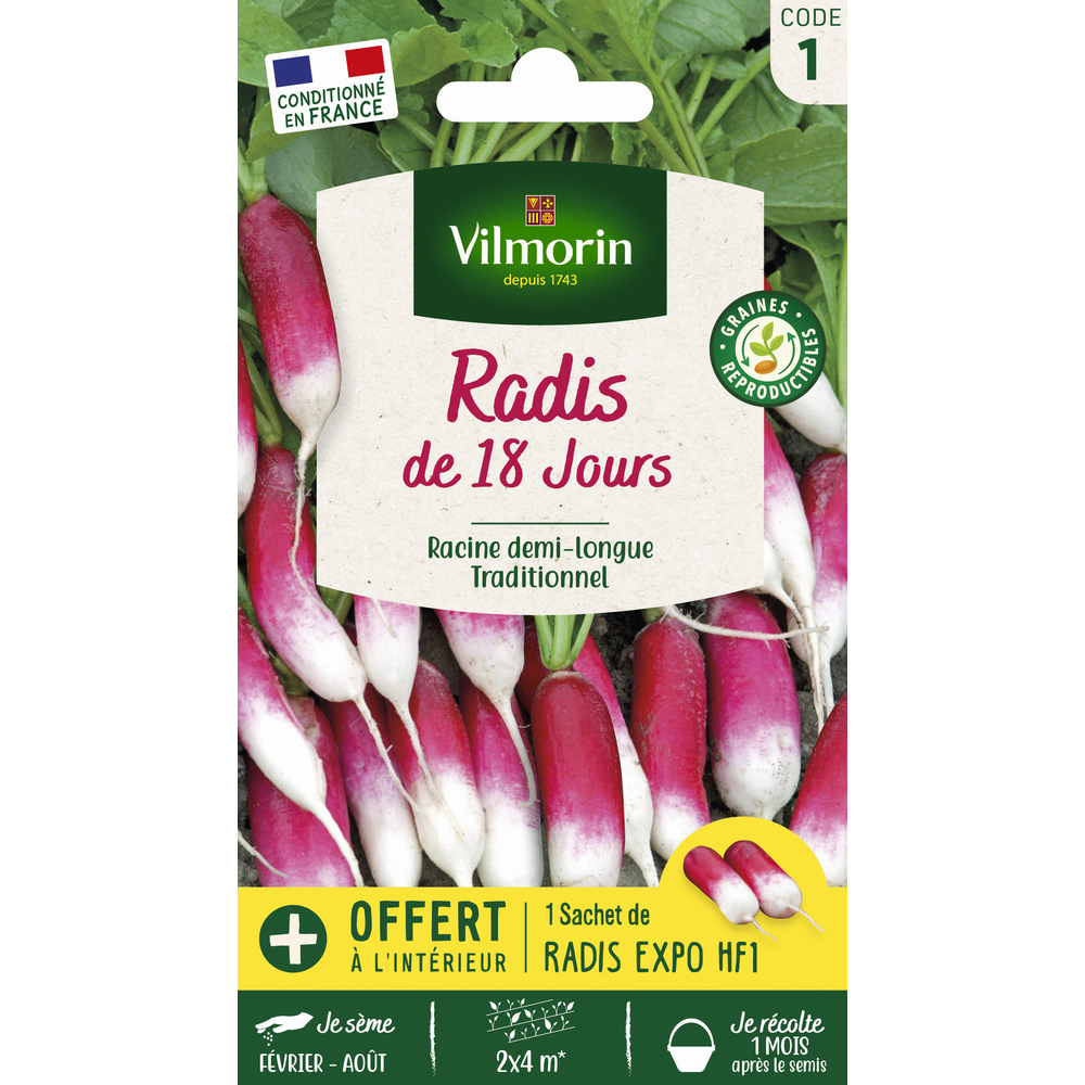 Graines de radis 18 jours + échantillon radis Expo en sachet