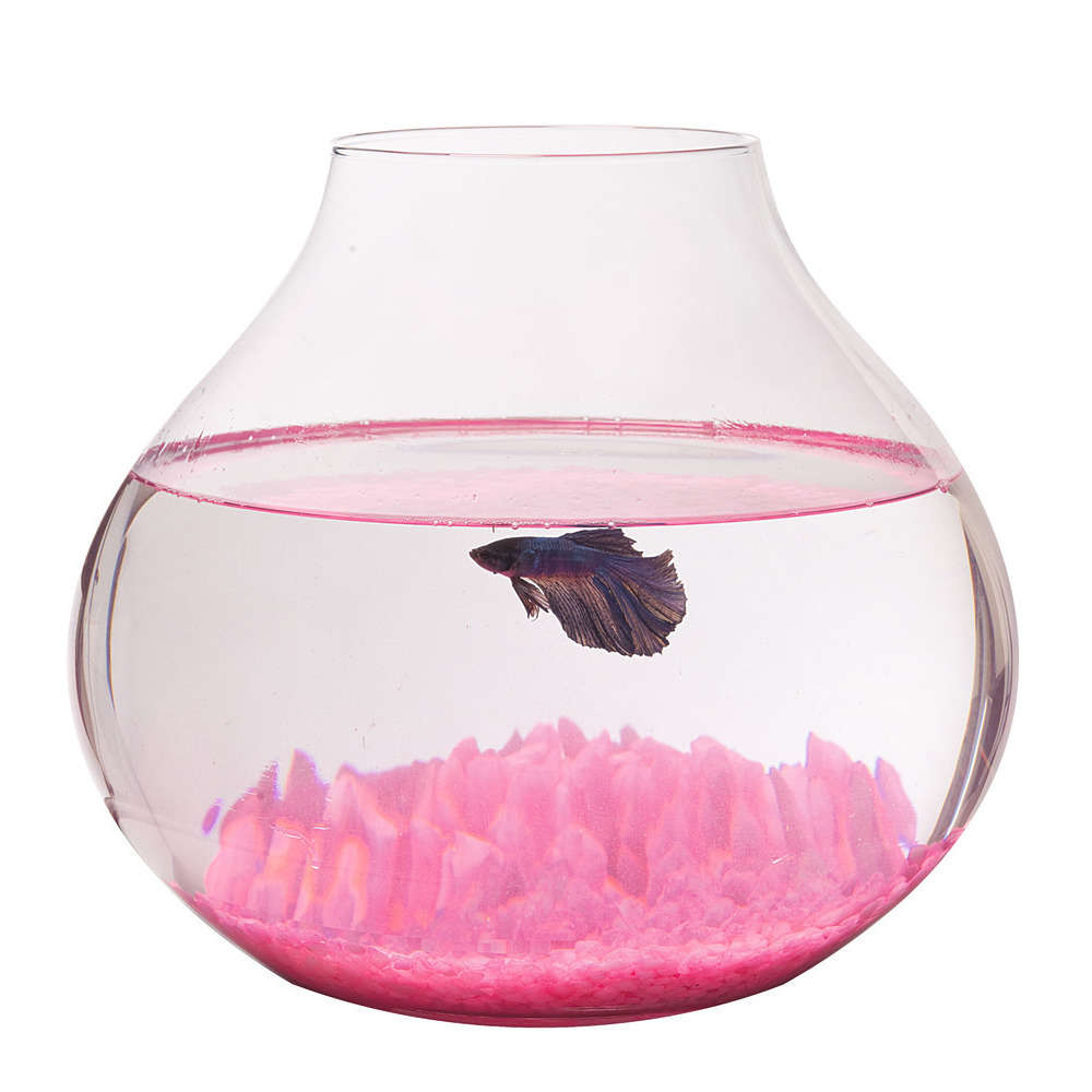 Poissons d