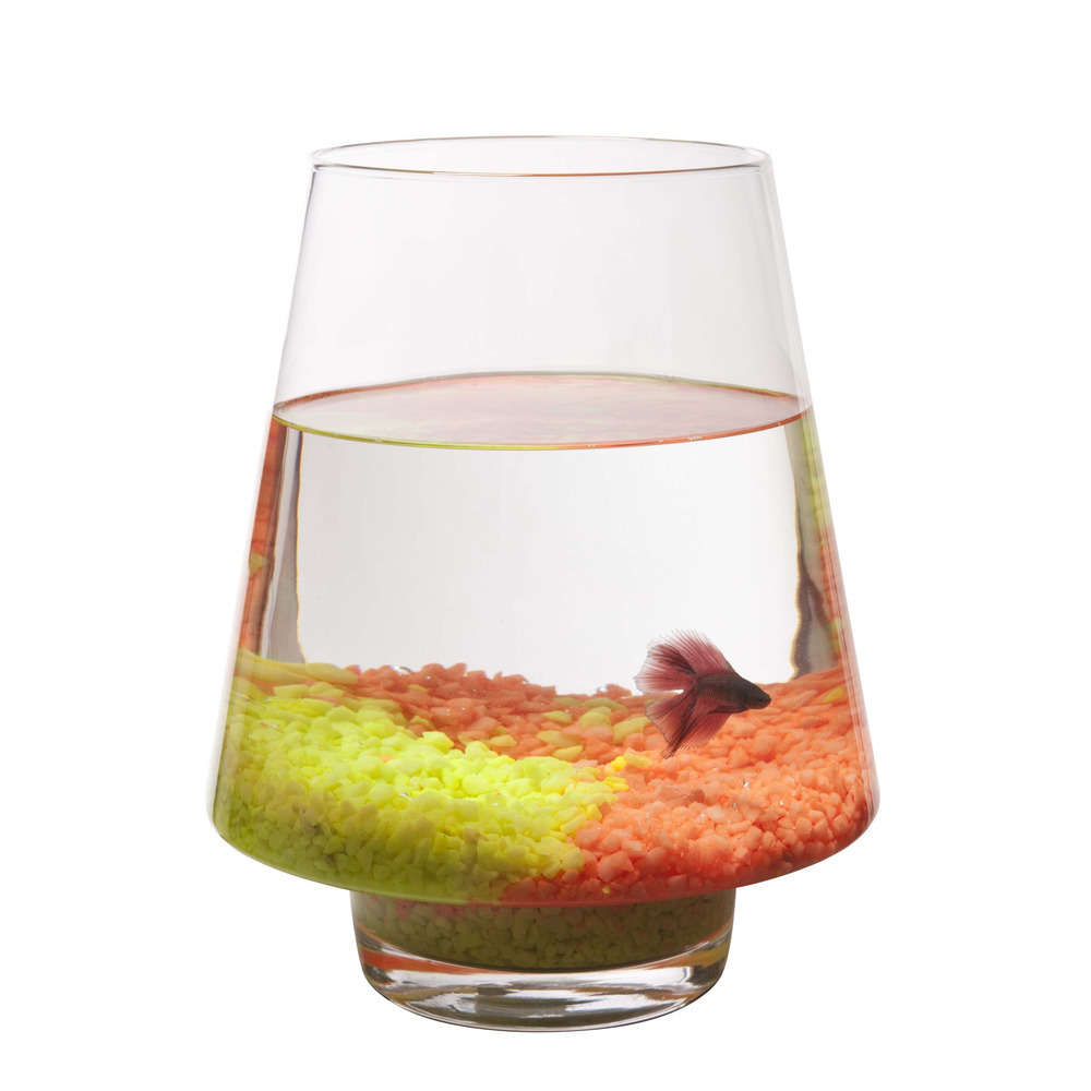 Poissons d