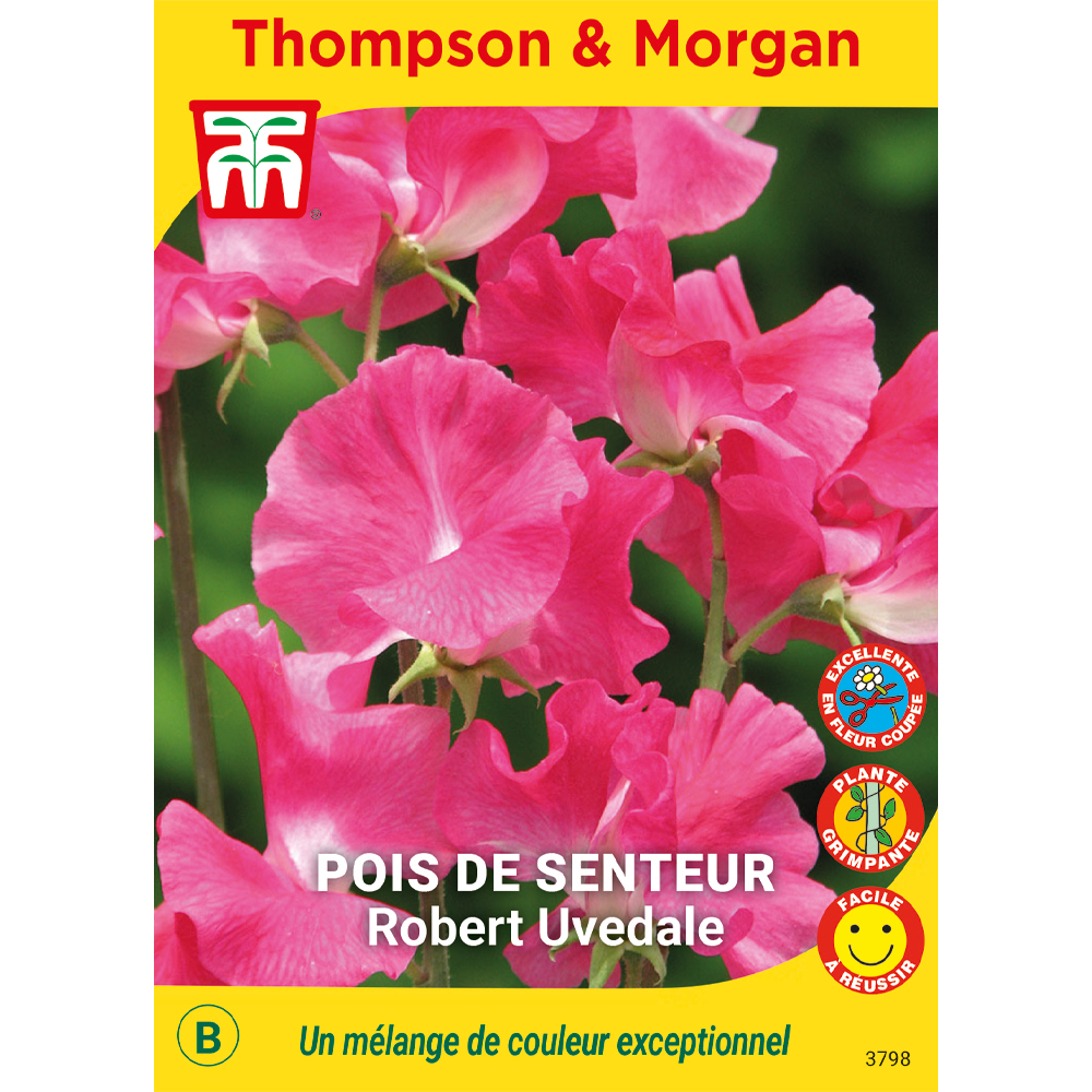 Pois de Senteur Robert Uvedale