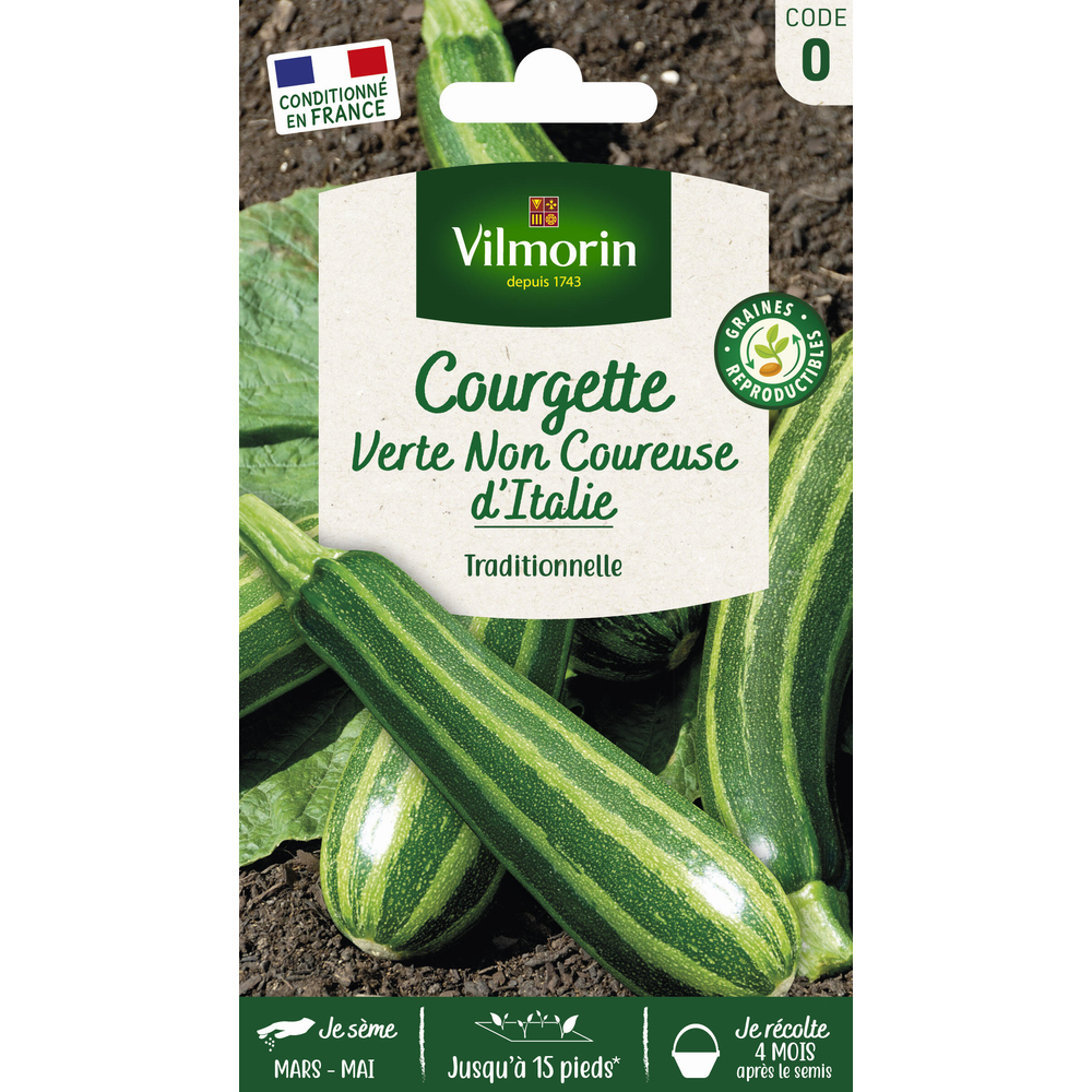 Graines de courgette Non Coureuse d'Italie en sachet