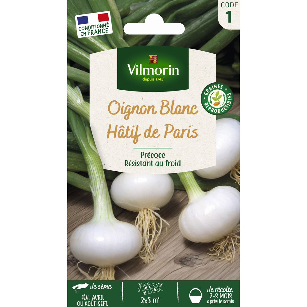 Graines d'oignons blanc de Paris en sachet