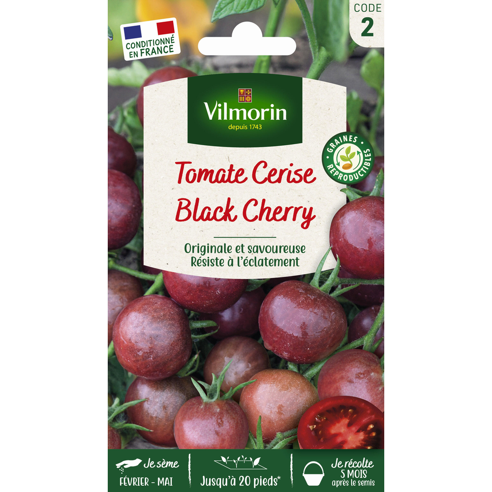 Graines de tomate Black Cherry en sachet