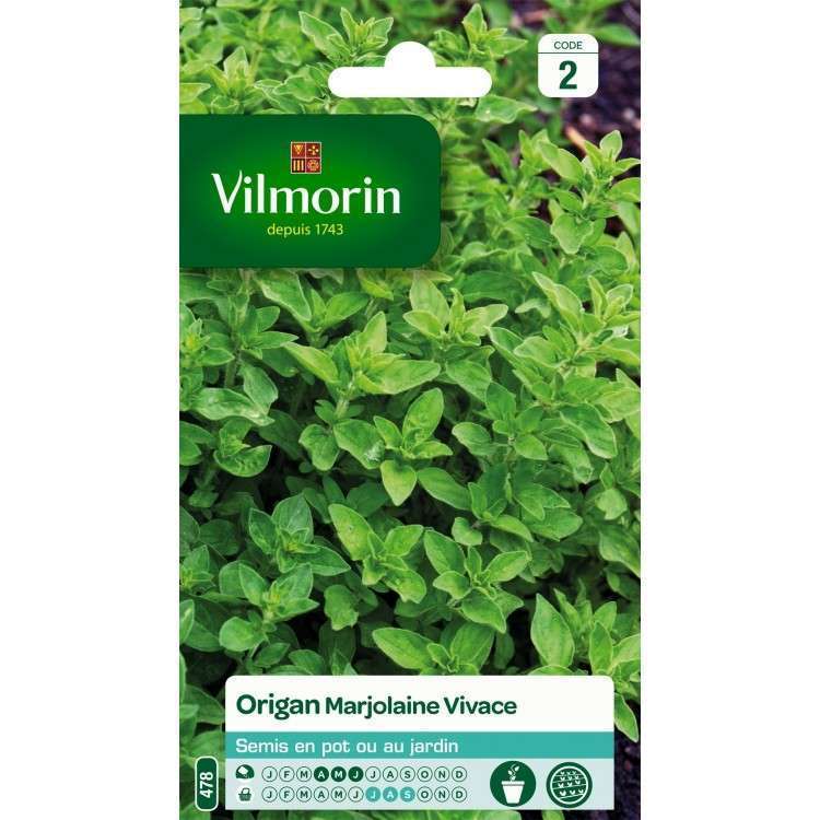 Graines de Marjolaine Vivace Origan en sachet en sachet