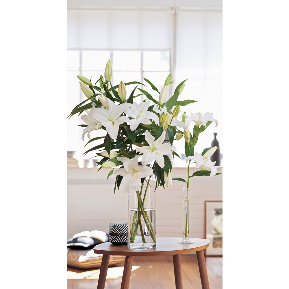 Lys Oriental H90cm, à la pièce