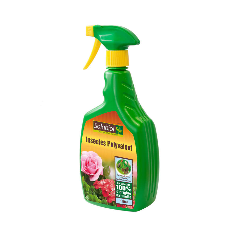 Insectes Polyvalent : pulvérisateur 1 L