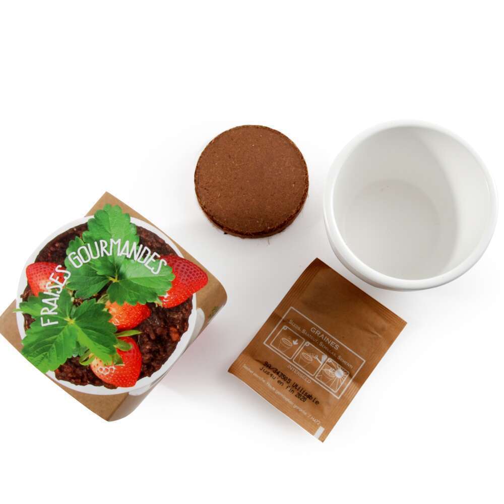 Pot céramique 8 cm Fraisier