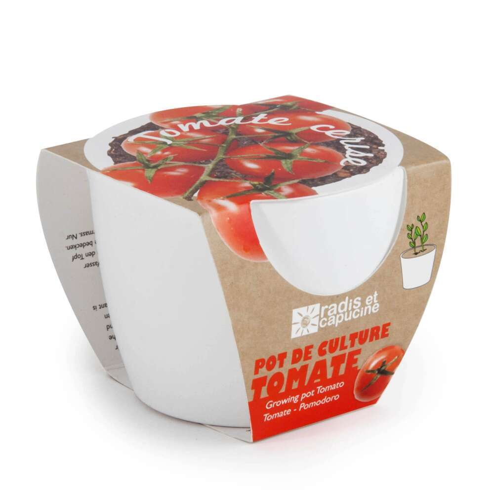 Pot céramique 8 cm tomate cerise Bio.