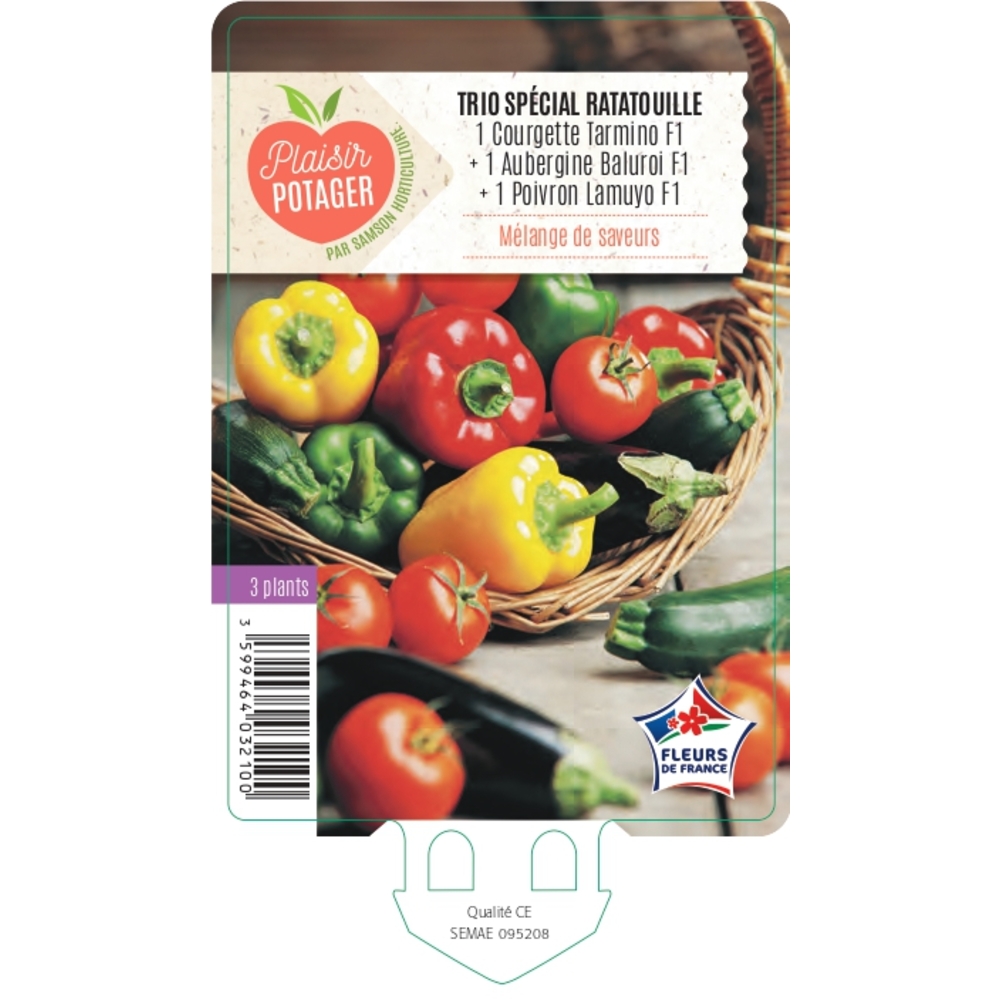 Plants pour Ratatouille mix - Barquette 3 plants