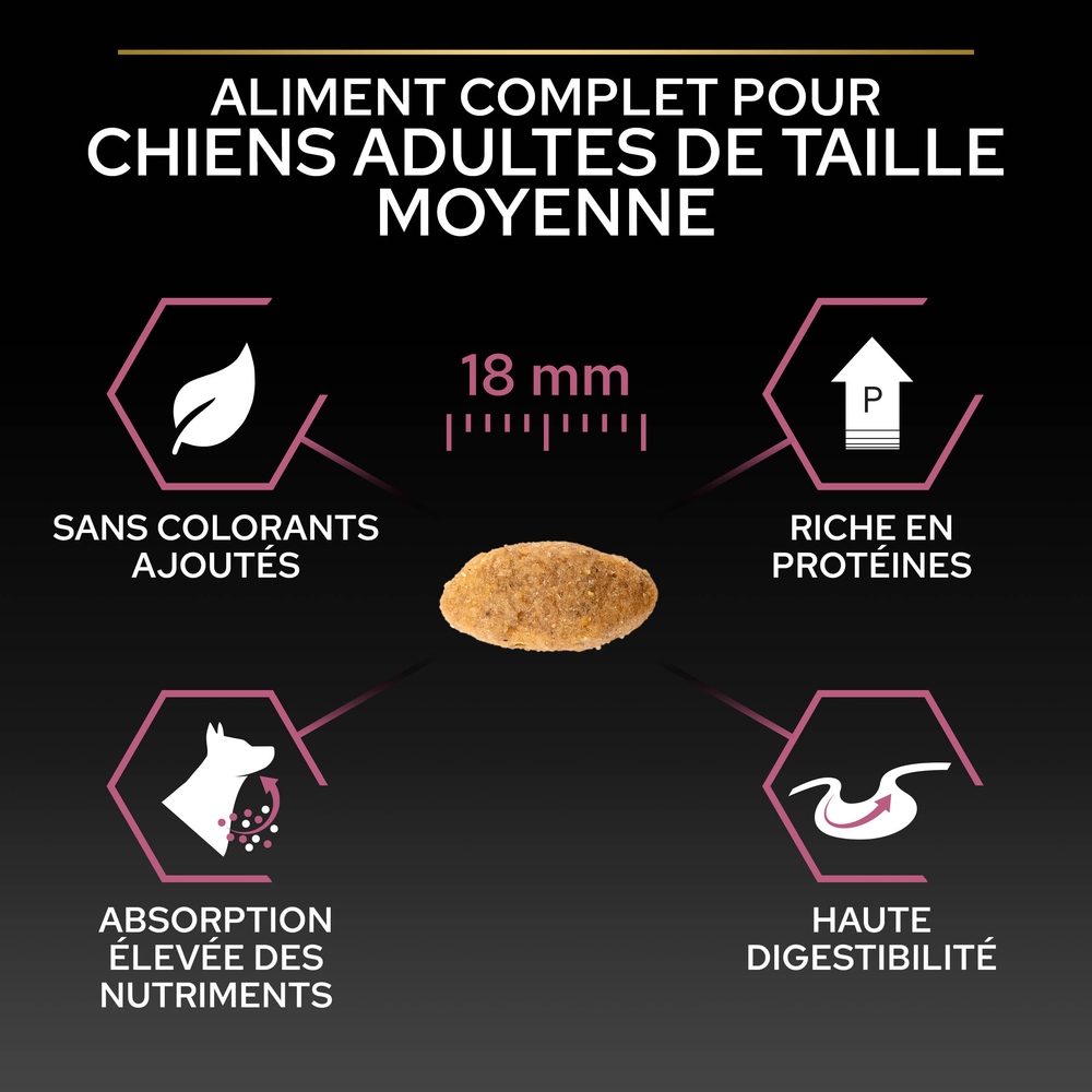 Croquettes chien adulte peau sensible Super Premium - 3 kg