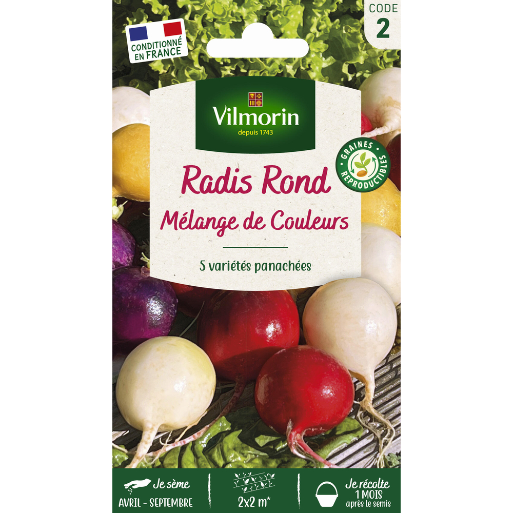 Graines de radis ronds melange de couleurs en sachet