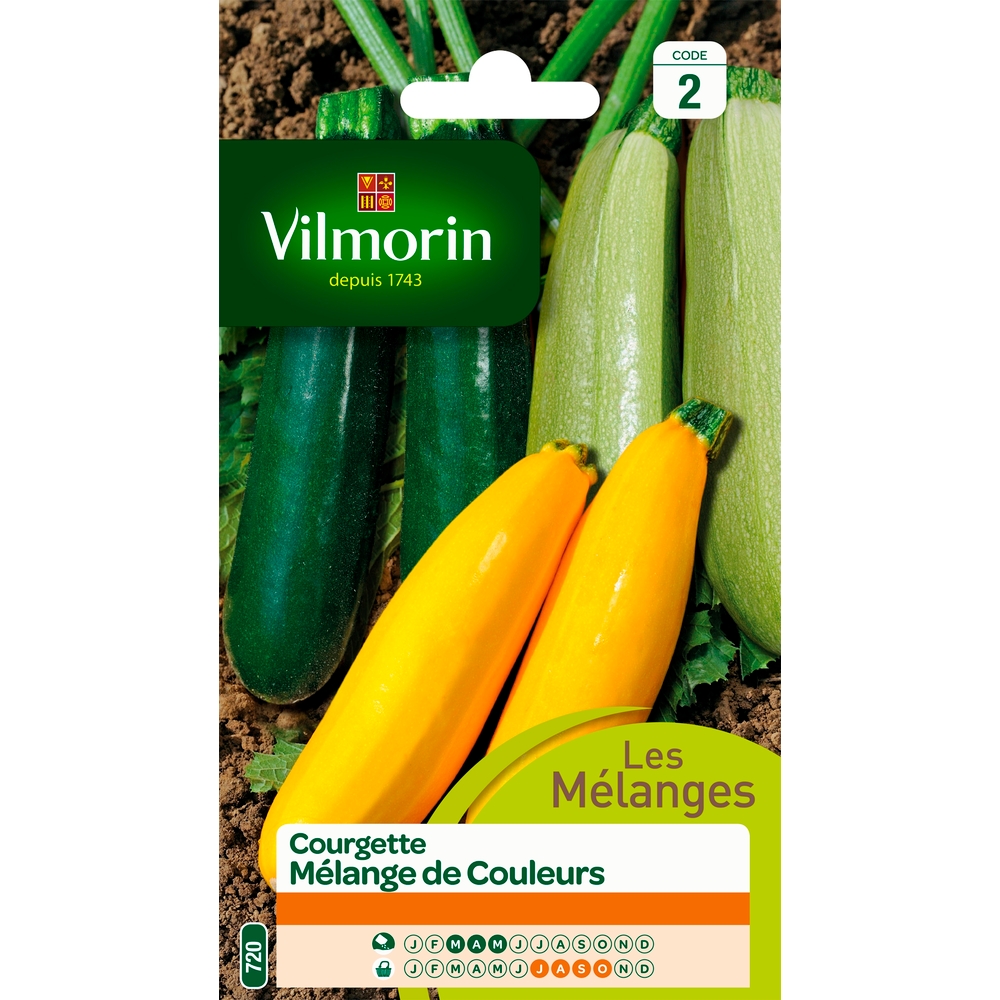 Graines de courgette melange de couleurs en sachet