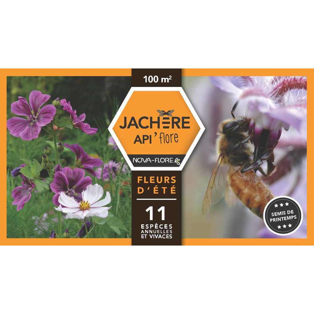 Jachère mellifère fleurs d'été : boite