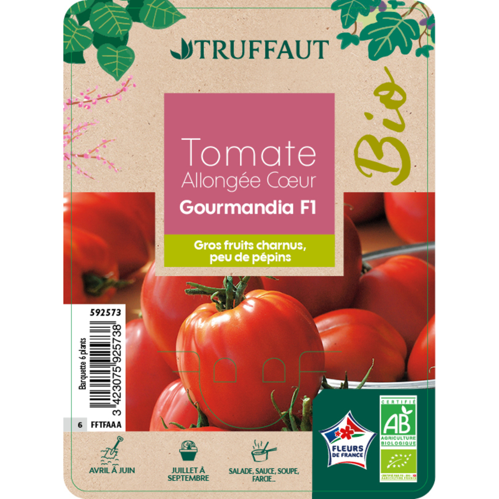Plants de tomates 'Gourmandia' F1 bio : barquette de 6 plants