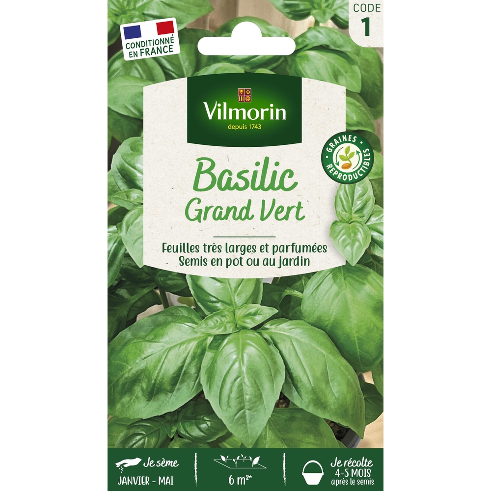 Graines de basilic grand'vert en sachet