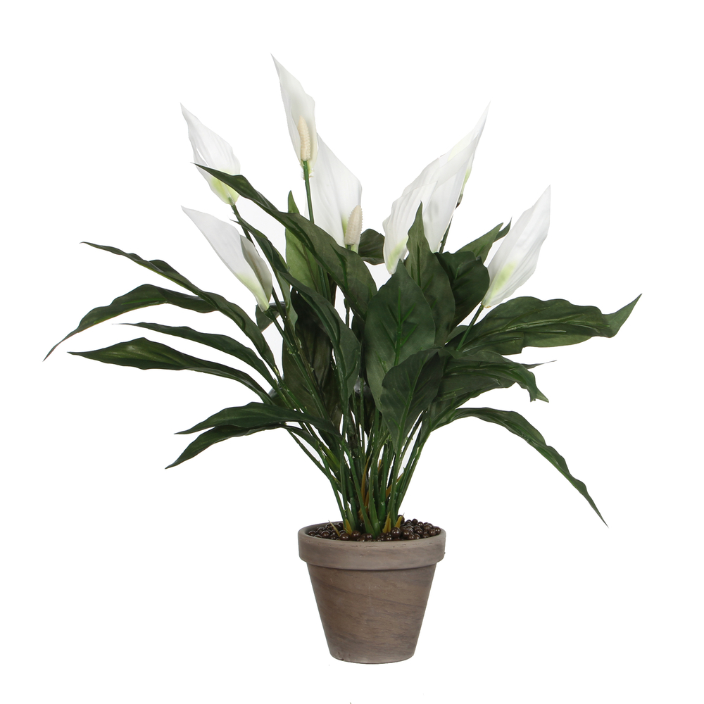 Spathiphyllum artificiel blanc Ø 40 x H. 50 cm, en pot Ø 11,5 cm