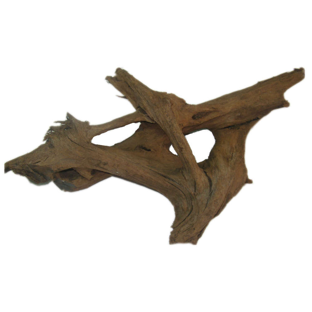 Décor pour aquarium: Racine naturelle Malaisie 21cm