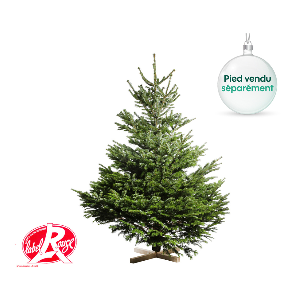 Sapin de Noël naturel Abies nordmann - Label Rouge : 150/175 cm coupé