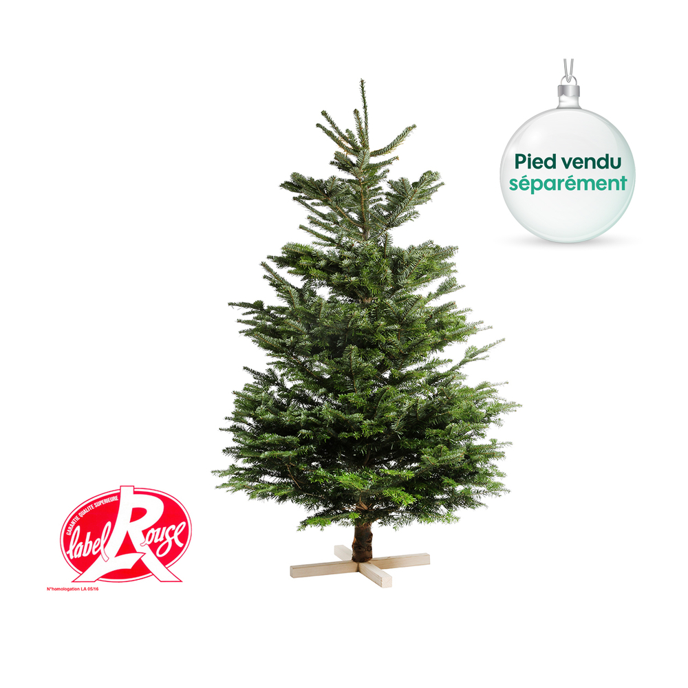 Sapin de Noël naturel Abies nordmann - Label Rouge : 175/200 cm coupé