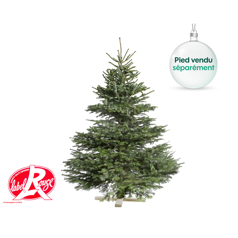 Sapin de Noël naturel Abies nordmann - Label Rouge : 200/250 cm coupé