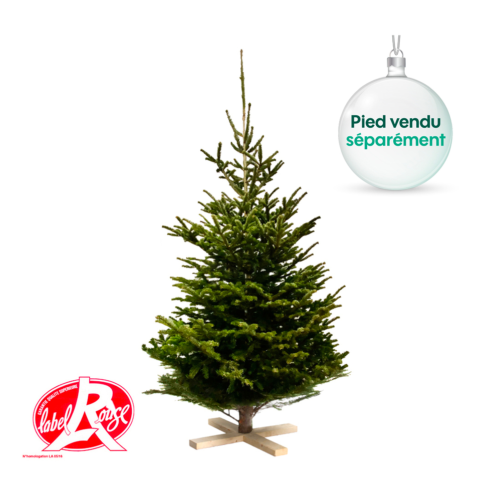 Sapin de Noël naturel Abies nordmann - Label Rouge : 250/300 cm coupé