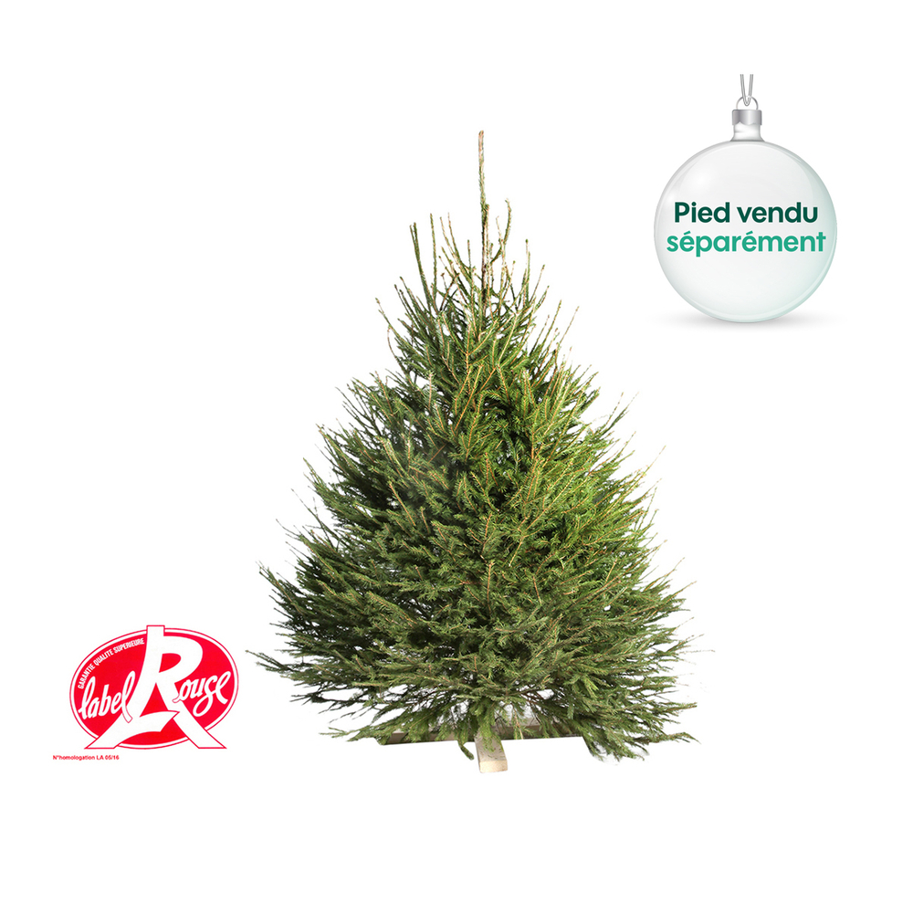 Sapin de Noël naturel Picea excelsa - Label Rouge: 200/250 cm coupé