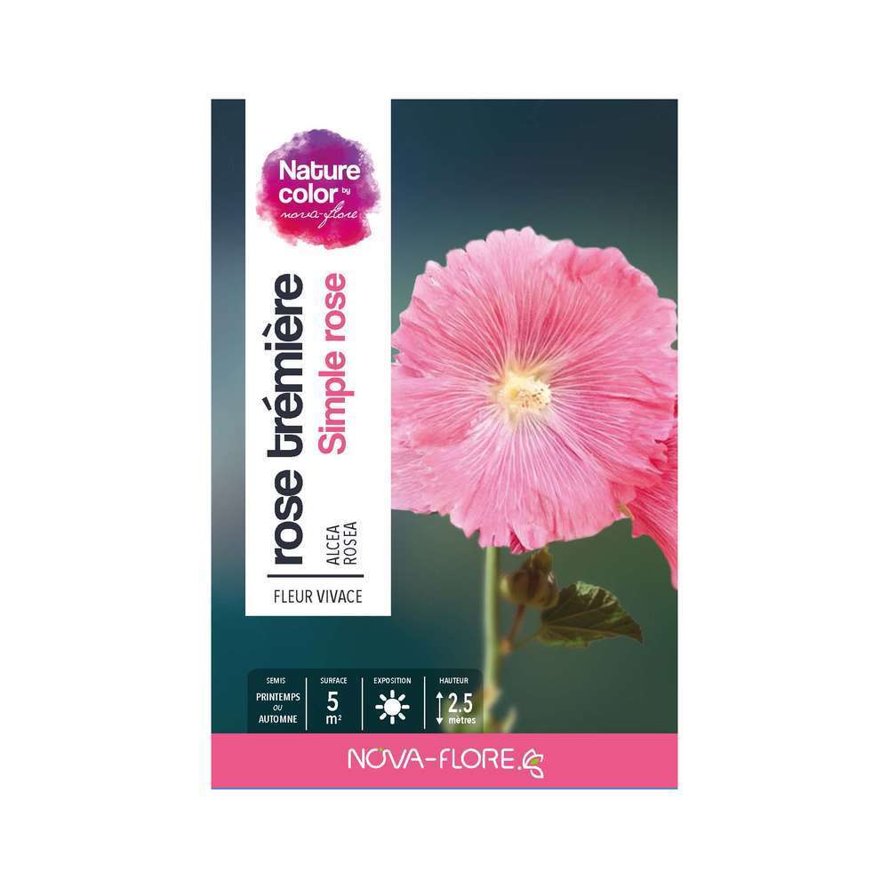 rose tremière simple rose boite