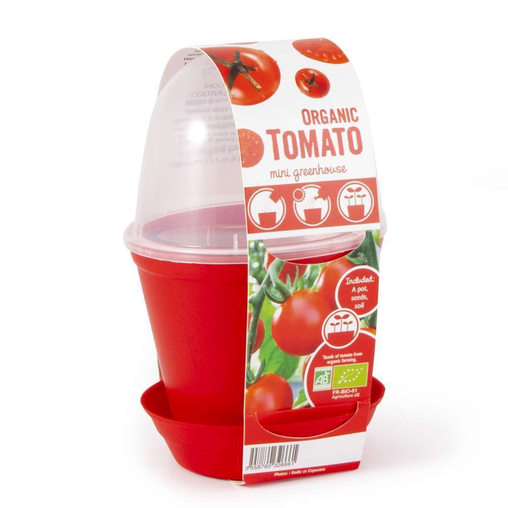 Pot cloche graines de tomate cerise Bio