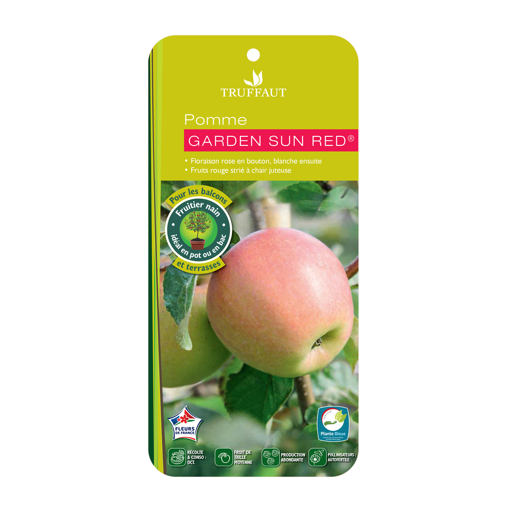 Pommier nain 'Garden Sun Red'® : C. 10L