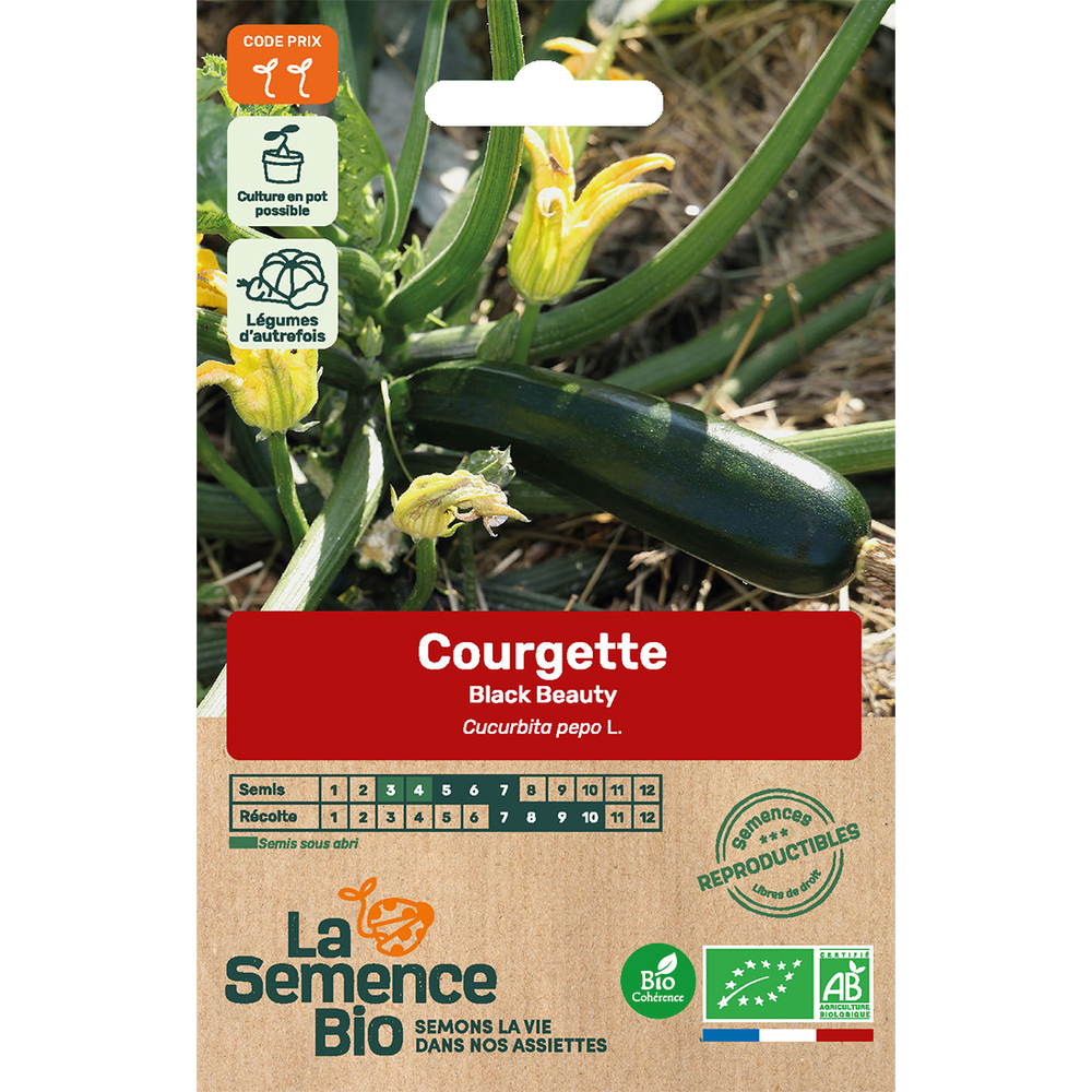 Graines potagères courgette Black Beauty Bio en sachet