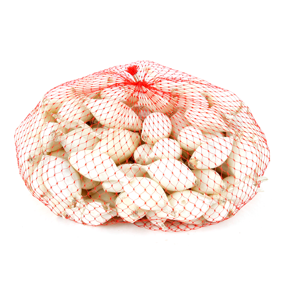 Bulbes d'oignons blancs 'Snowball' en filet - 500 g