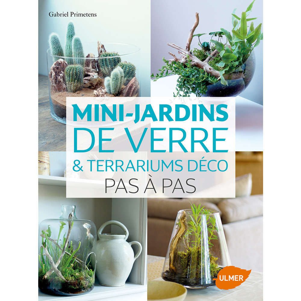 Mini jardins de verre