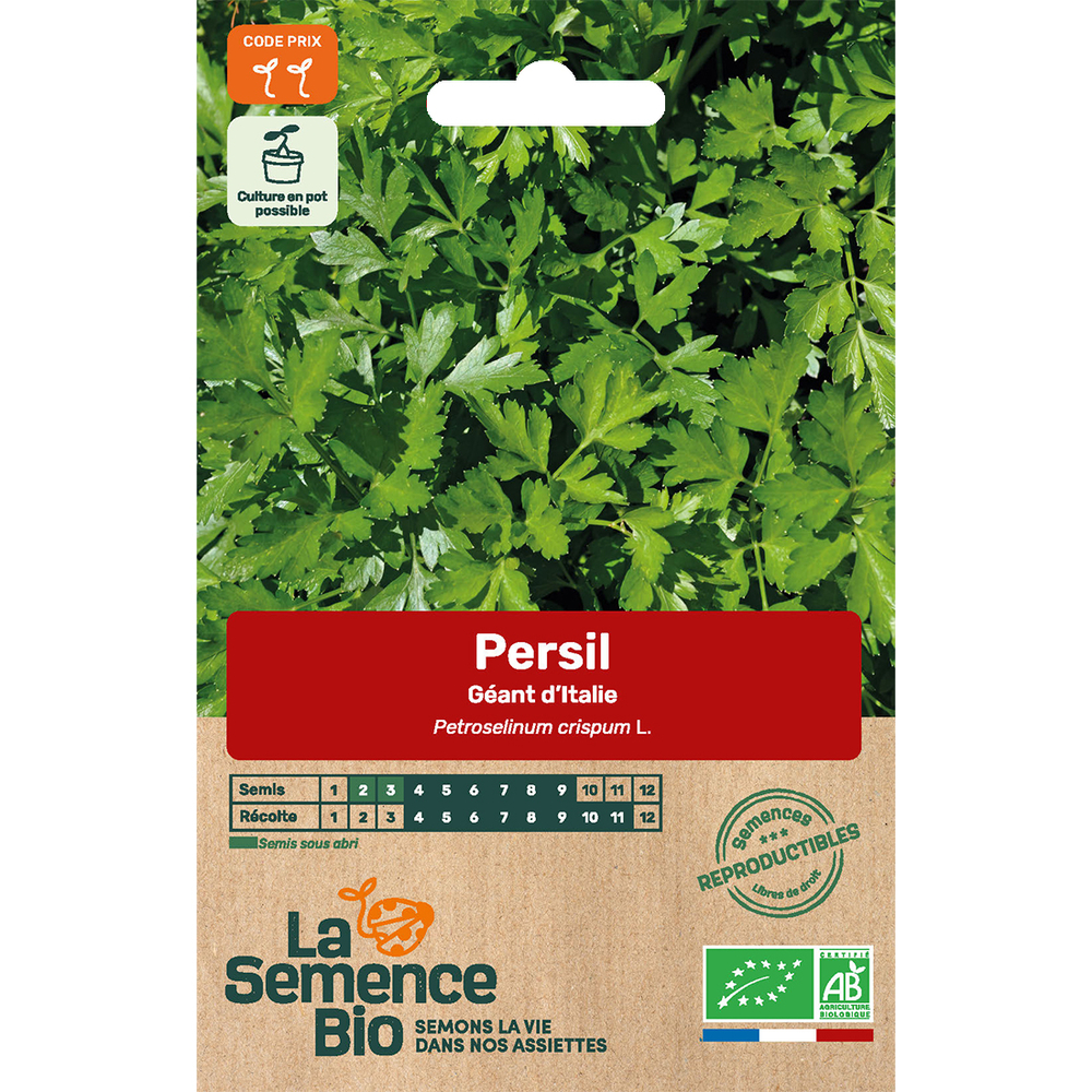 Graines potagères persil Géant d'Italie Bio en sachet