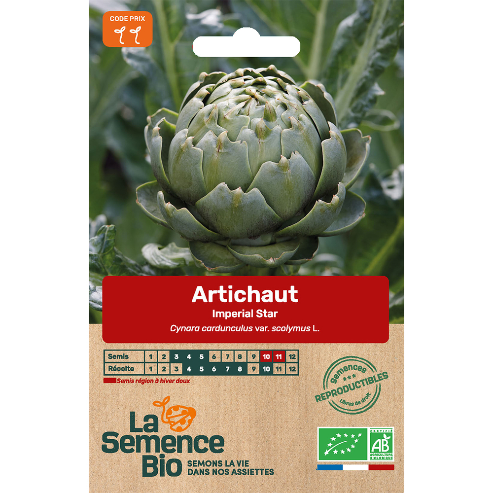 Graines potagères d'Artichaut Impérial Star Bio en sachet