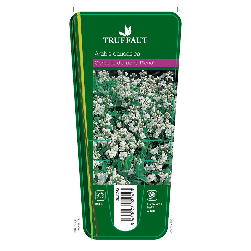 Corbeille d'argent double Plena :lot de 3 godets