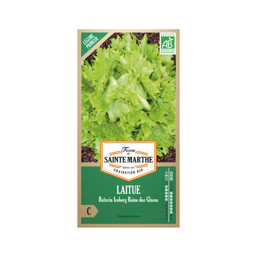 Graines de laitue batavia iceberg Bio en sachet