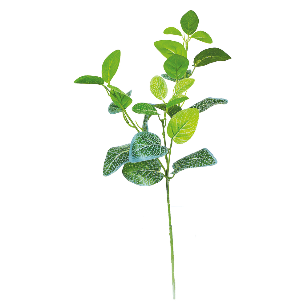 Fleur artificielle tige feuillage fittonia blanc H. 66cm