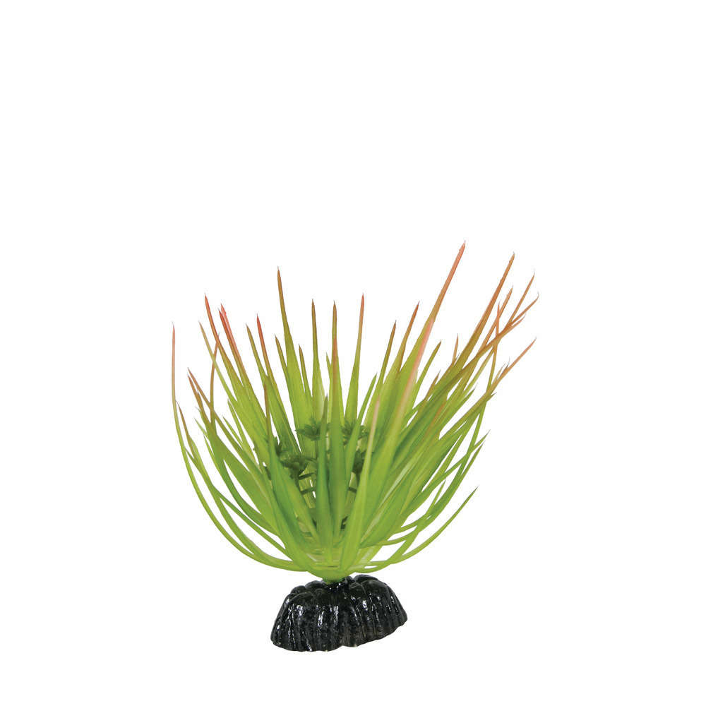 Décor plante tropicale modèle 1