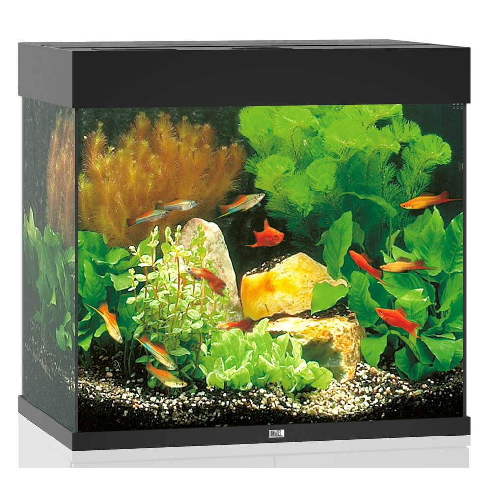 Aquarium Lido LED, noir - 120 litres
