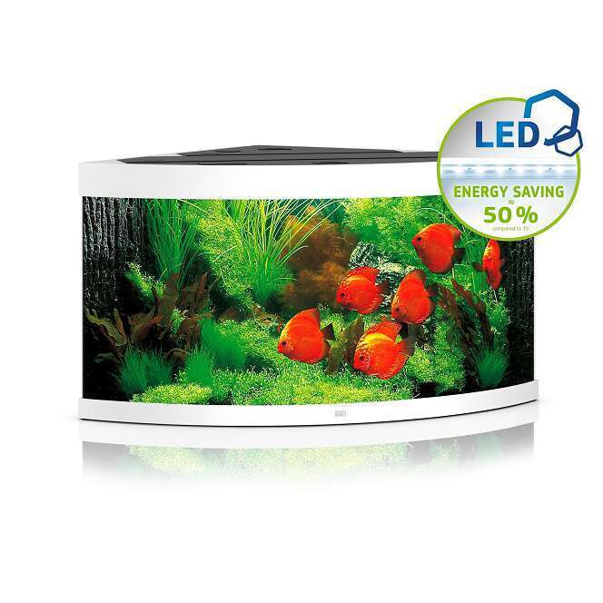 Aquarium LED Trigon LED, blanc - 350 litres