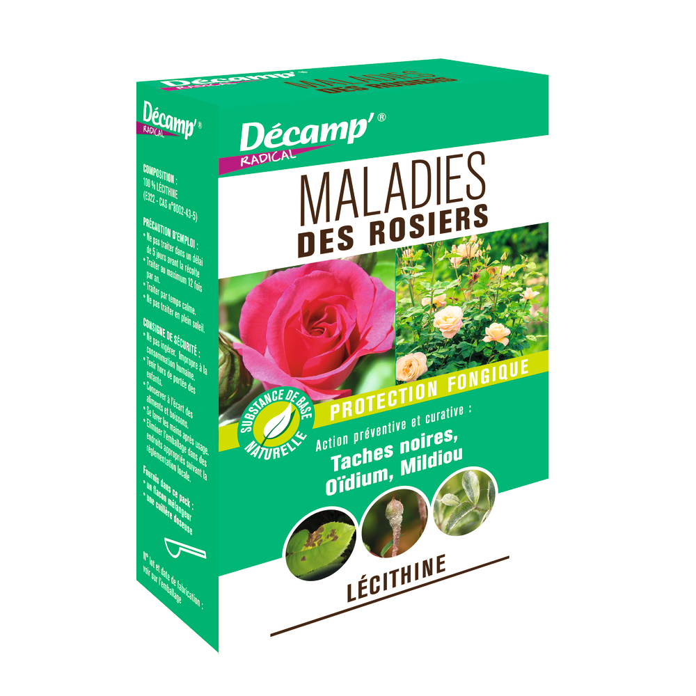 Fongicide de base: Rosiers