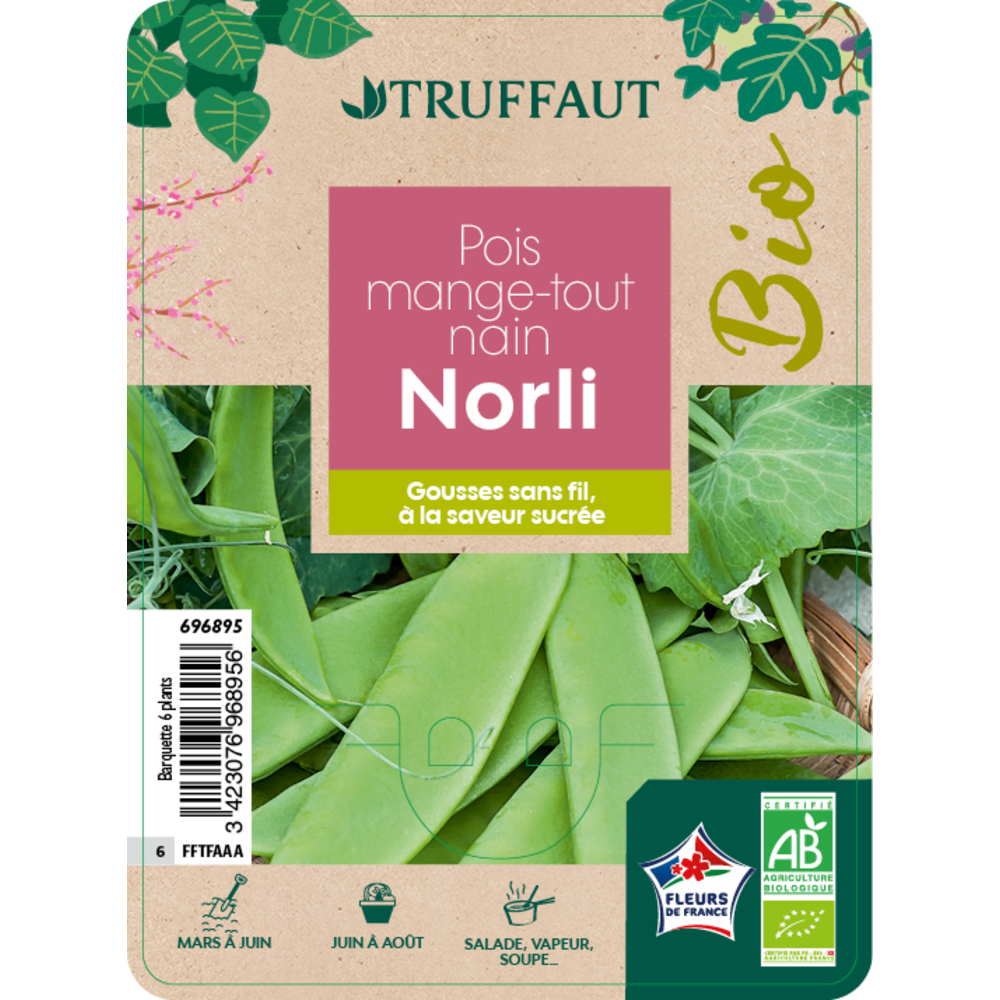Plants de pois gourmand 'Norli' bio : barquette de 6 plants