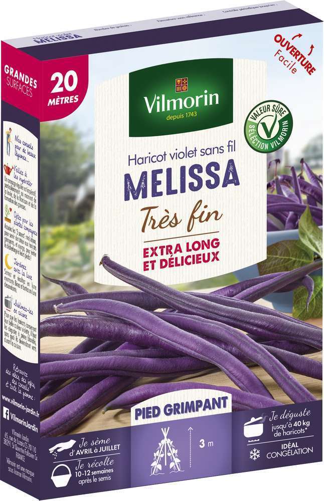Graines de haricot Grimpant Violet Mélissa en boite