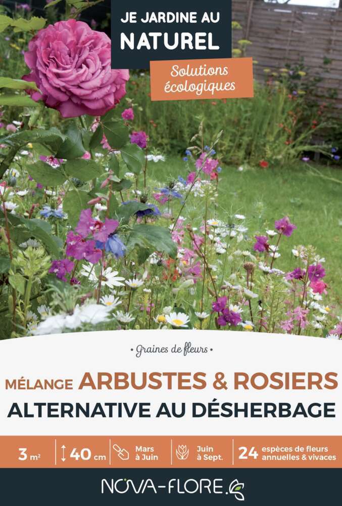 Mélange spécifique arbustes et rosiers : boite