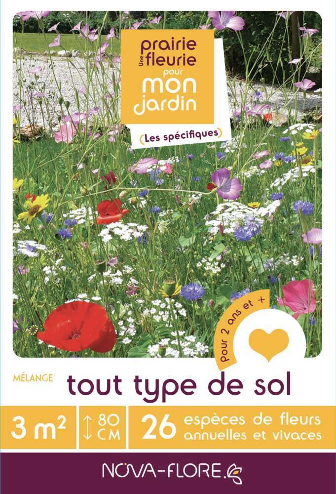 Prairie fleurie pour Tout Type de Sol : boite