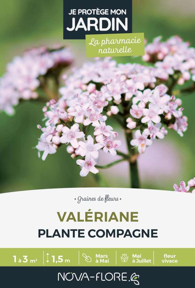 Valériane officinale : boite