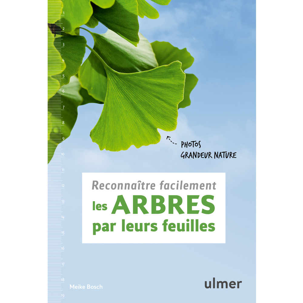 Reconnaître les arbres par leurs feuilles